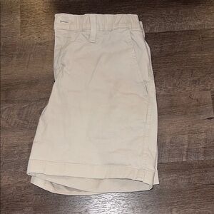Chubbies Khaki Shorts